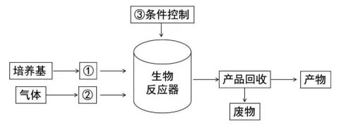 东北三省三校2026年高三第一次联合模拟考试生物试题试题 第8张
