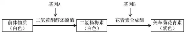 东北三省三校2026年高三第一次联合模拟考试生物试题试题 第9张