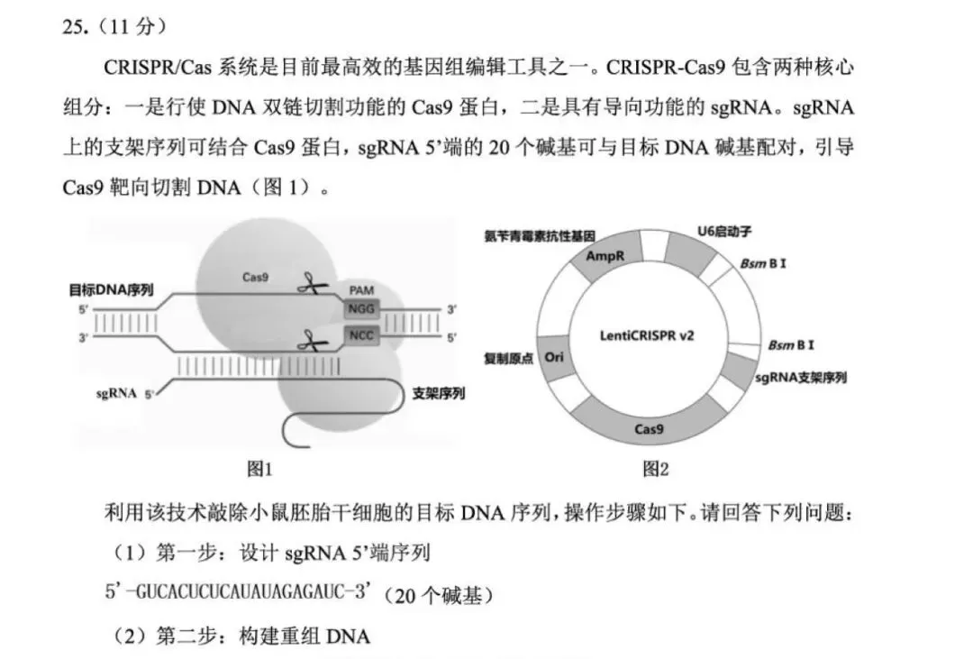 2026年3月东北三省三校第一次联合模拟考试—基因工程 第1张