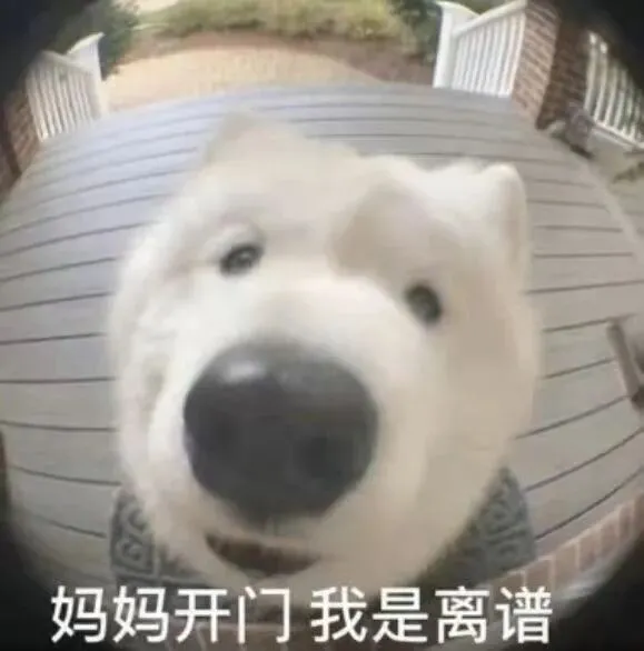 到底有多少考生,被试卷上的不正经题目狠狠教育了? 第13张