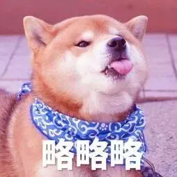 四级真题册包邮免费领取!(限量1000套!) 第1张