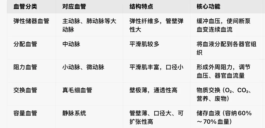 2026医疗事业编|医学基础知识真题(3月11日) 第1张 2026医疗事业编|医学基础知识真题(3月11日) 第1张