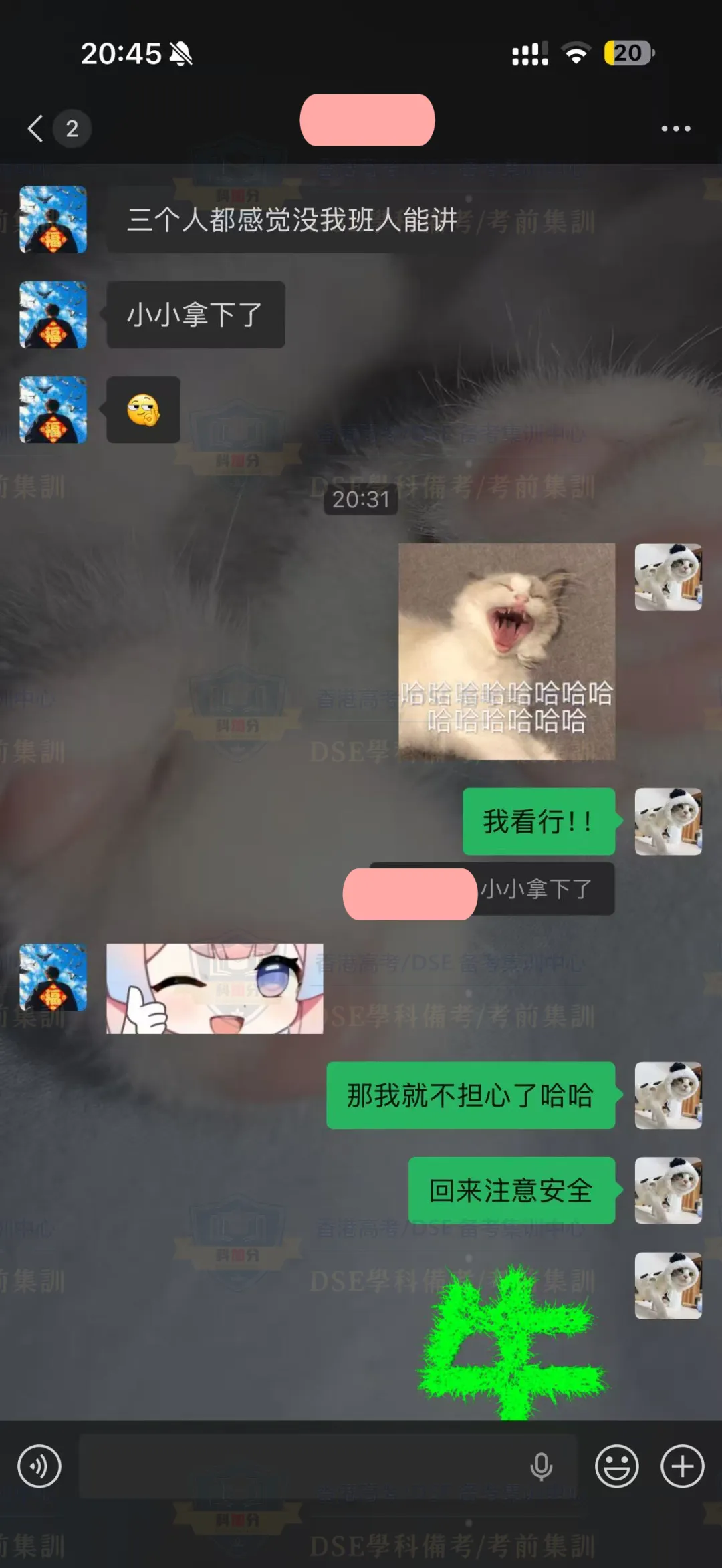 DSE口语首日考情|中英对照真题 + 考点预测,一键收藏! 第9张 DSE口语首日考情|中英对照真题 + 考点预测,一键收藏! 第9张
