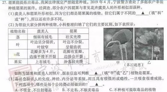 这个省的中考试卷,出了这样的题!-第4张图片-四季读书网