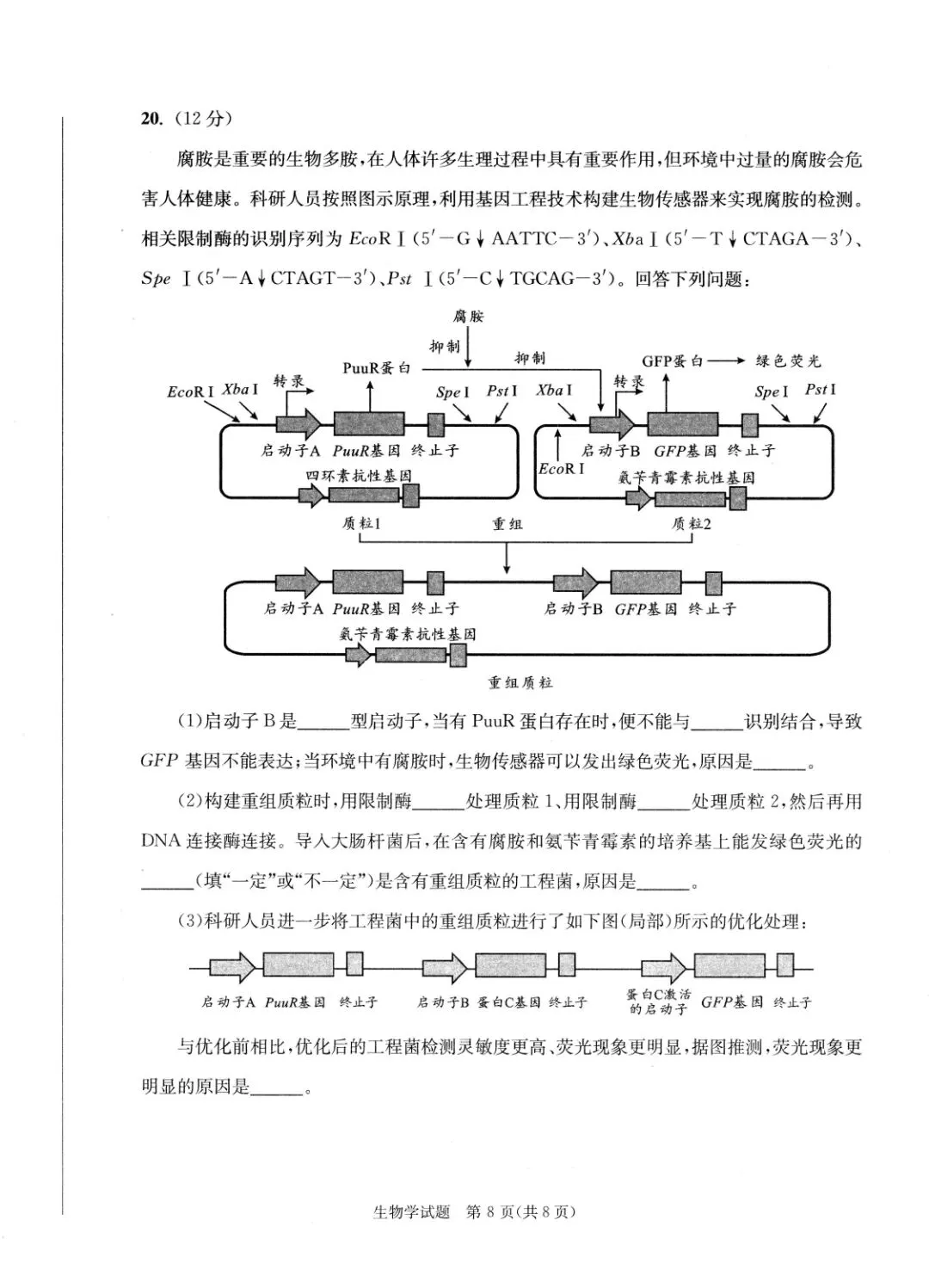 汇总!成都一诊9科全套真题&参考答案(文末领取高清电子档)-第35张图片-四季读书网