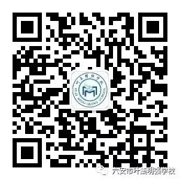 【中考加油】叶集明强学校召开2019届中考动员会 第6张