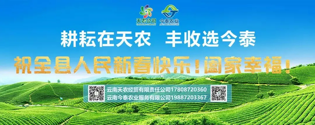 这场“百日之约”,照亮我县学子的中考路 第3张 这场“百日之约”,照亮我县学子的中考路 第3张