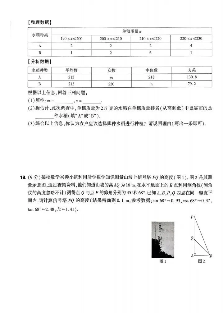 2026《中考仿真卷》数学(河南) 第3张