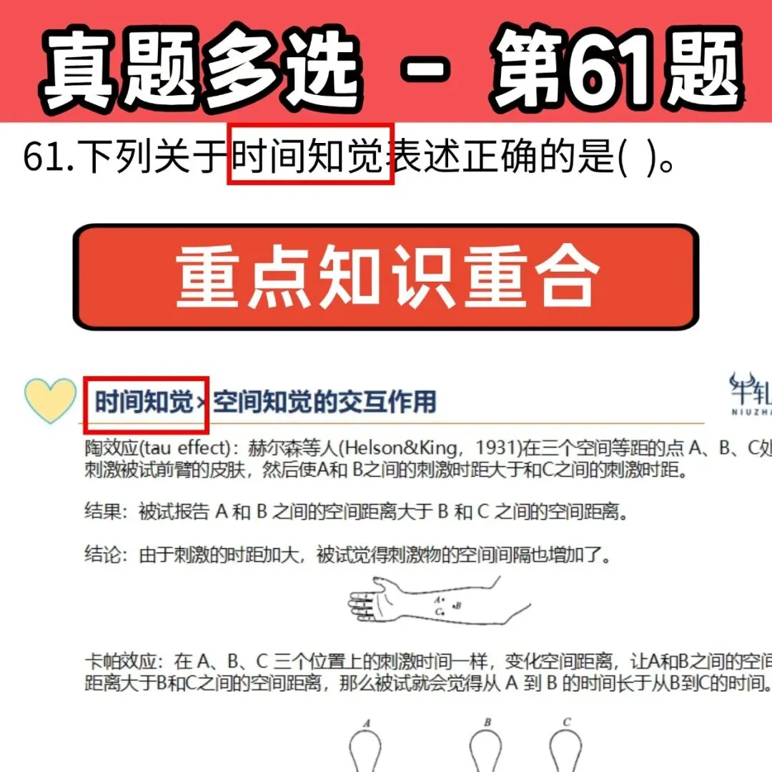 26心理学考研312学硕统考 | 最全真题+答案解析 第39张