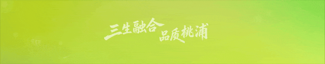 冲刺中考体育!桃浦全民健身中心推出“集训课包”→ 第1张