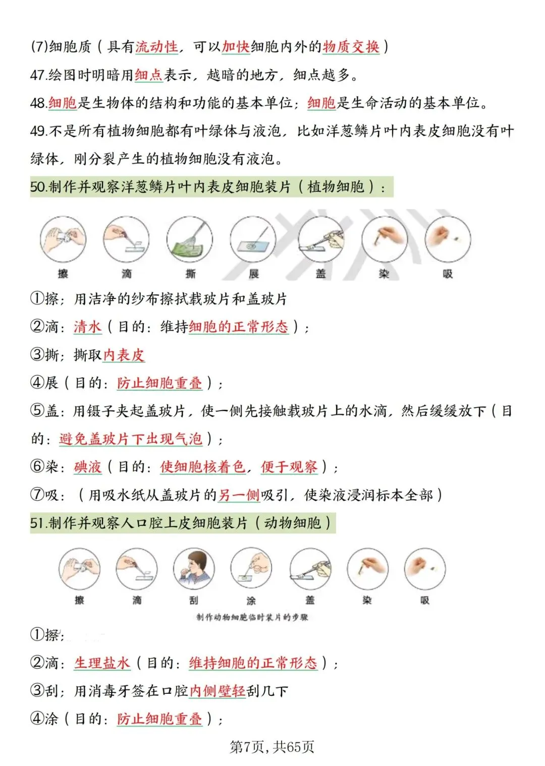 2026人教版中考复习7—8年级生物高频考点汇总,完整电子版可打印 第11张
