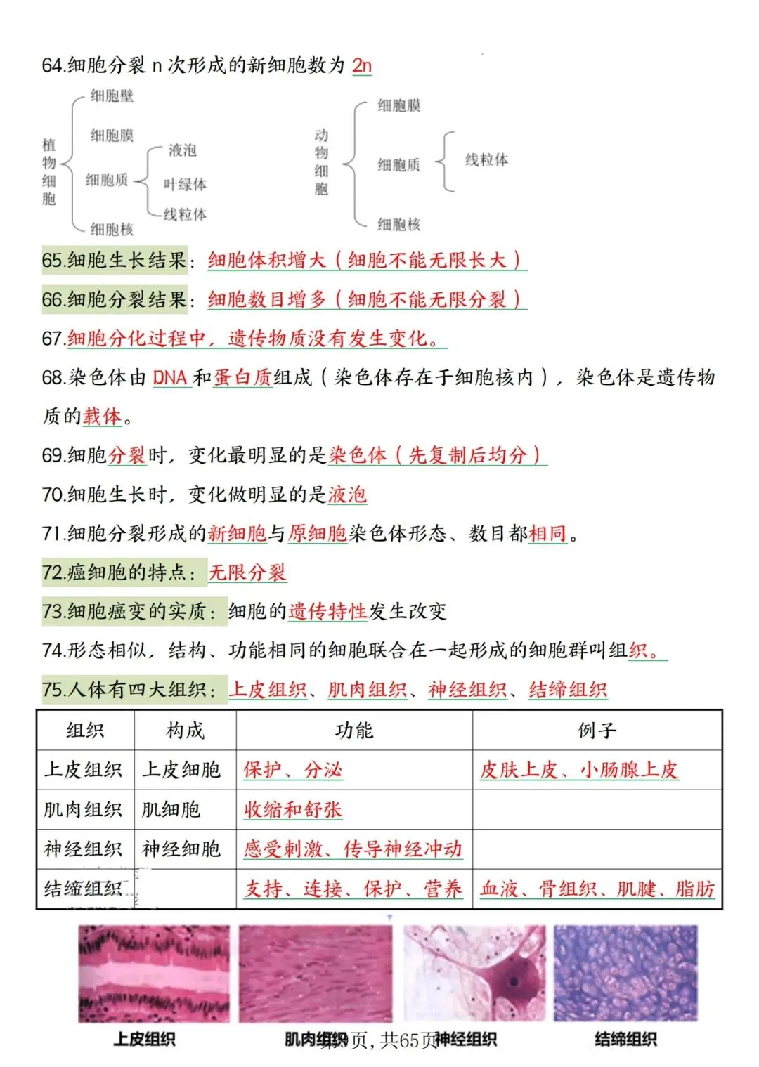 2026人教版中考复习7—8年级生物高频考点汇总,完整电子版可打印 第13张