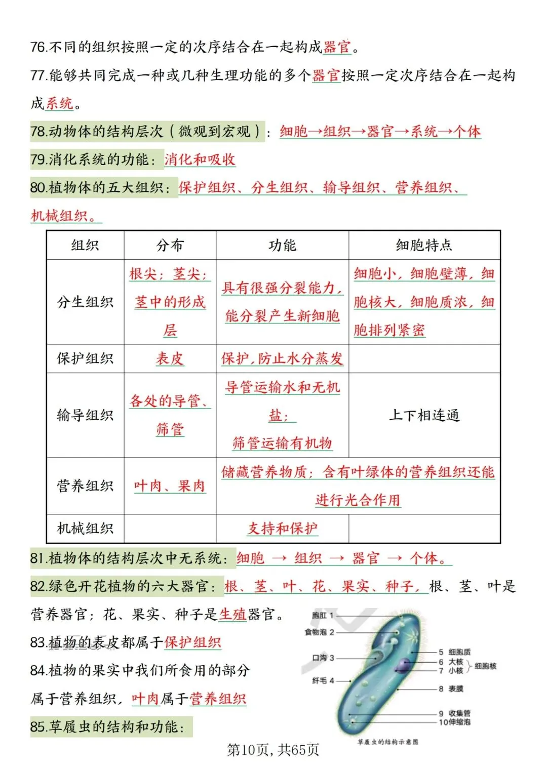 2026人教版中考复习7—8年级生物高频考点汇总,完整电子版可打印 第14张