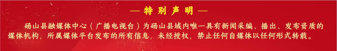 2026年宿州中考体育评分标准出炉! 第8张