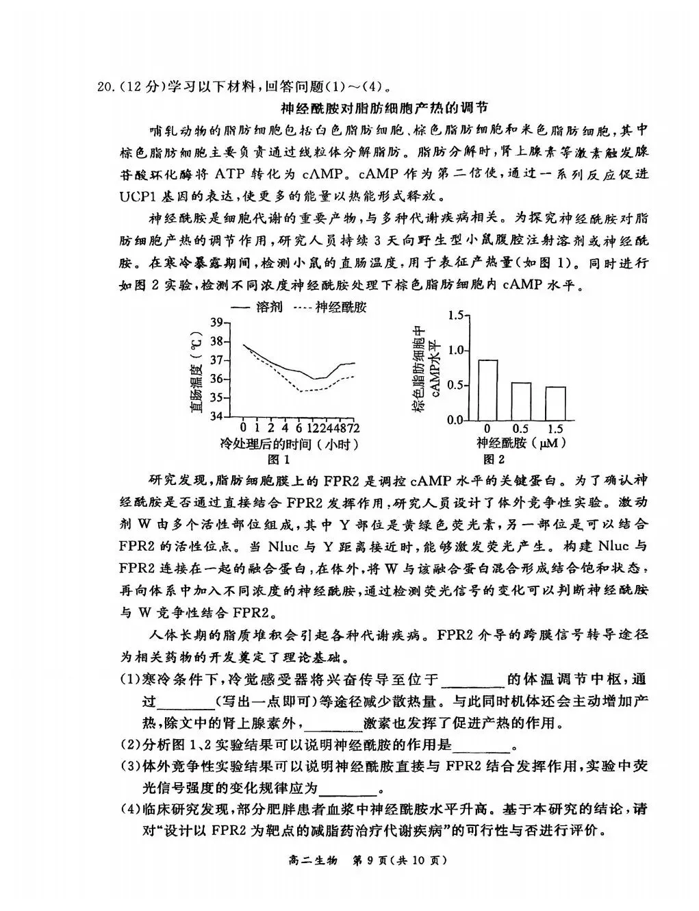 2026东城高二上期末生物试卷与答案 第9张