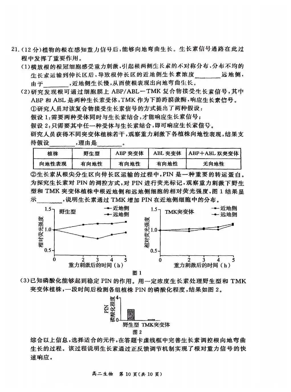 2026东城高二上期末生物试卷与答案 第10张