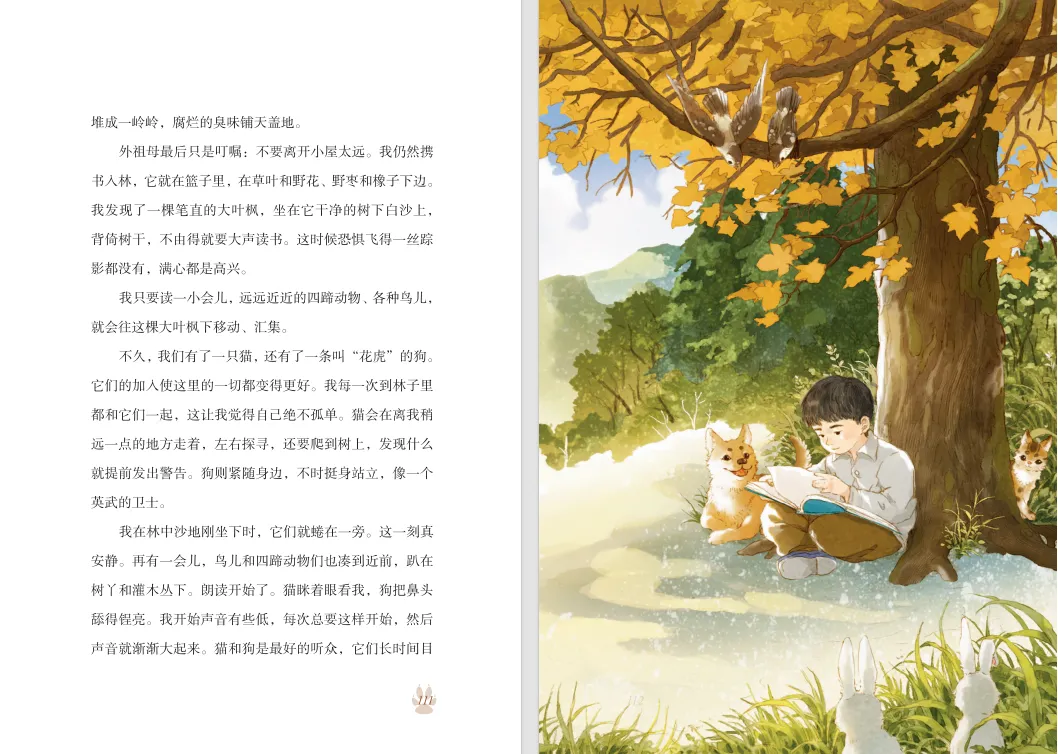 【中考阅读指导】我•动物•外祖父(张炜)山东潍坊2025 第7张