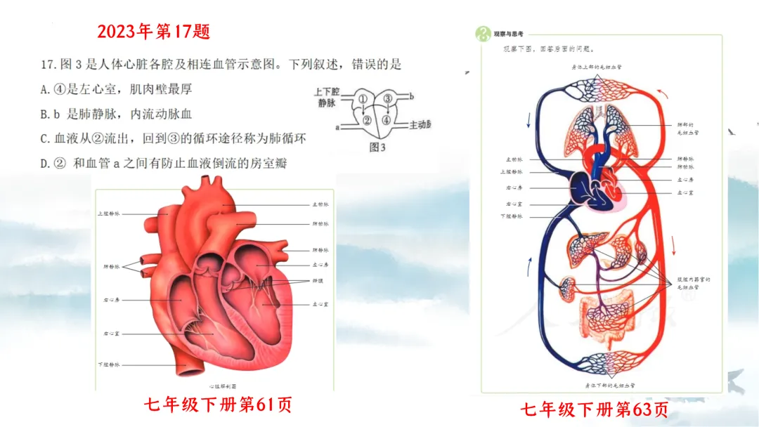 SK226 初中生物 中考讲座资源《析标研题固根基,聚焦热点强素养 ----2026年初中生物复习备考分析》讲座课件PPT+ 文字稿Word 第22张