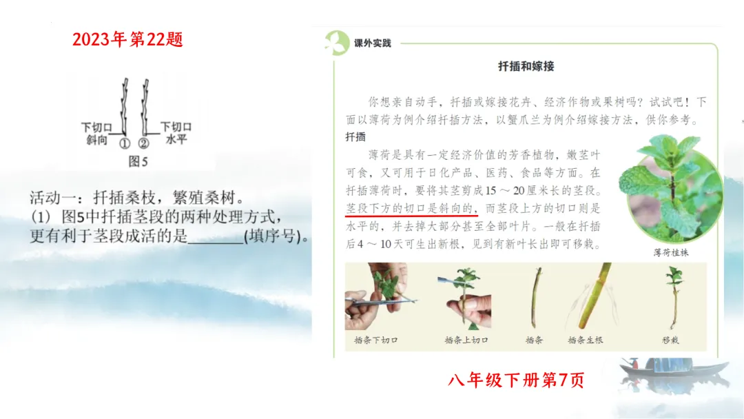 SK226 初中生物 中考讲座资源《析标研题固根基,聚焦热点强素养 ----2026年初中生物复习备考分析》讲座课件PPT+ 文字稿Word 第23张