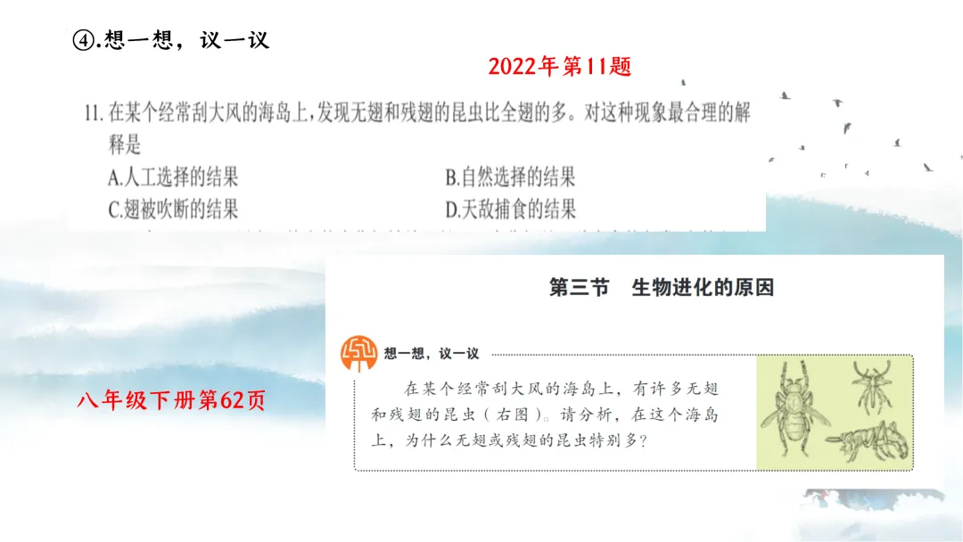 SK226 初中生物 中考讲座资源《析标研题固根基,聚焦热点强素养 ----2026年初中生物复习备考分析》讲座课件PPT+ 文字稿Word 第27张