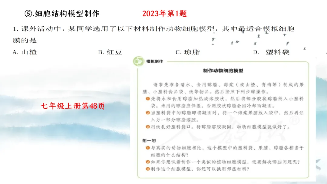 SK226 初中生物 中考讲座资源《析标研题固根基,聚焦热点强素养 ----2026年初中生物复习备考分析》讲座课件PPT+ 文字稿Word 第29张