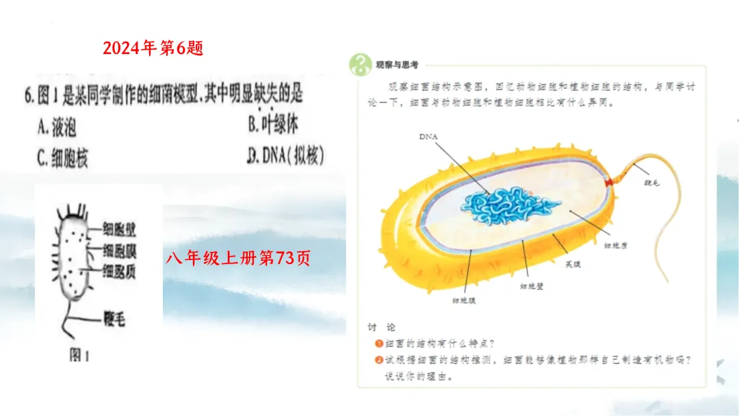 SK226 初中生物 中考讲座资源《析标研题固根基,聚焦热点强素养 ----2026年初中生物复习备考分析》讲座课件PPT+ 文字稿Word 第30张