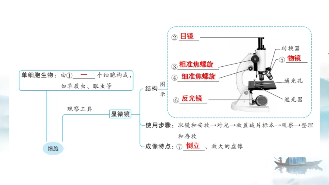 SK226 初中生物 中考讲座资源《析标研题固根基,聚焦热点强素养 ----2026年初中生物复习备考分析》讲座课件PPT+ 文字稿Word 第39张