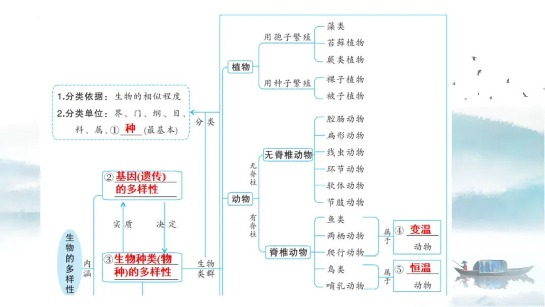 SK226 初中生物 中考讲座资源《析标研题固根基,聚焦热点强素养 ----2026年初中生物复习备考分析》讲座课件PPT+ 文字稿Word 第43张