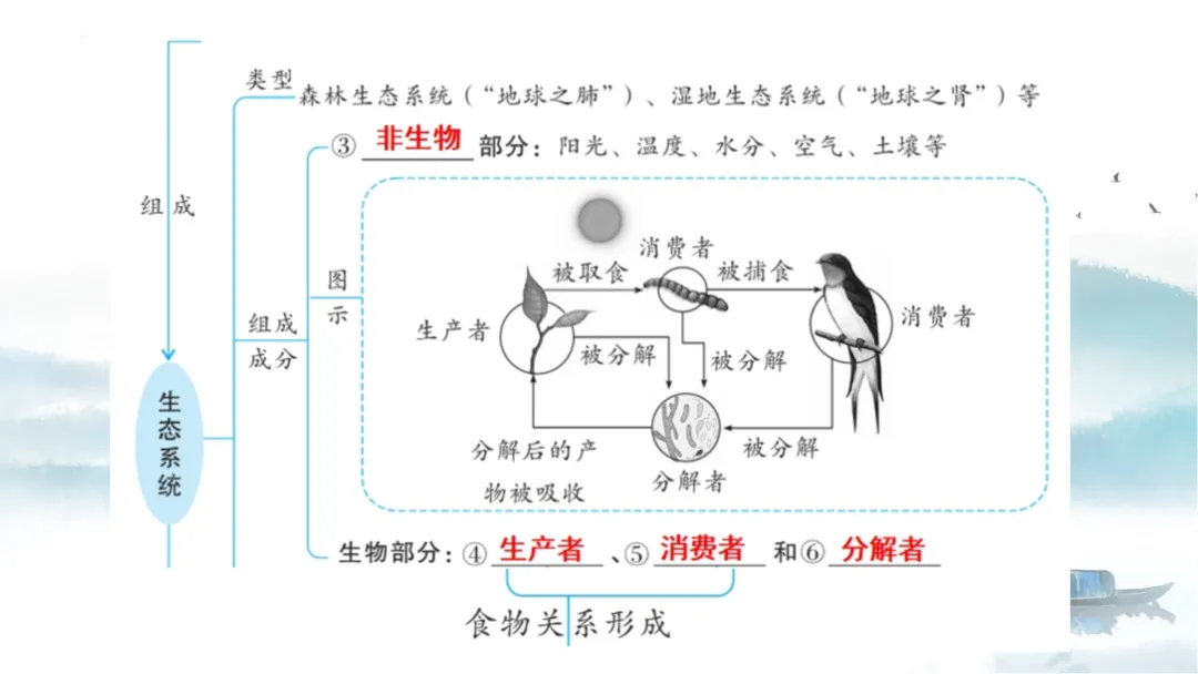 SK226 初中生物 中考讲座资源《析标研题固根基,聚焦热点强素养 ----2026年初中生物复习备考分析》讲座课件PPT+ 文字稿Word 第47张