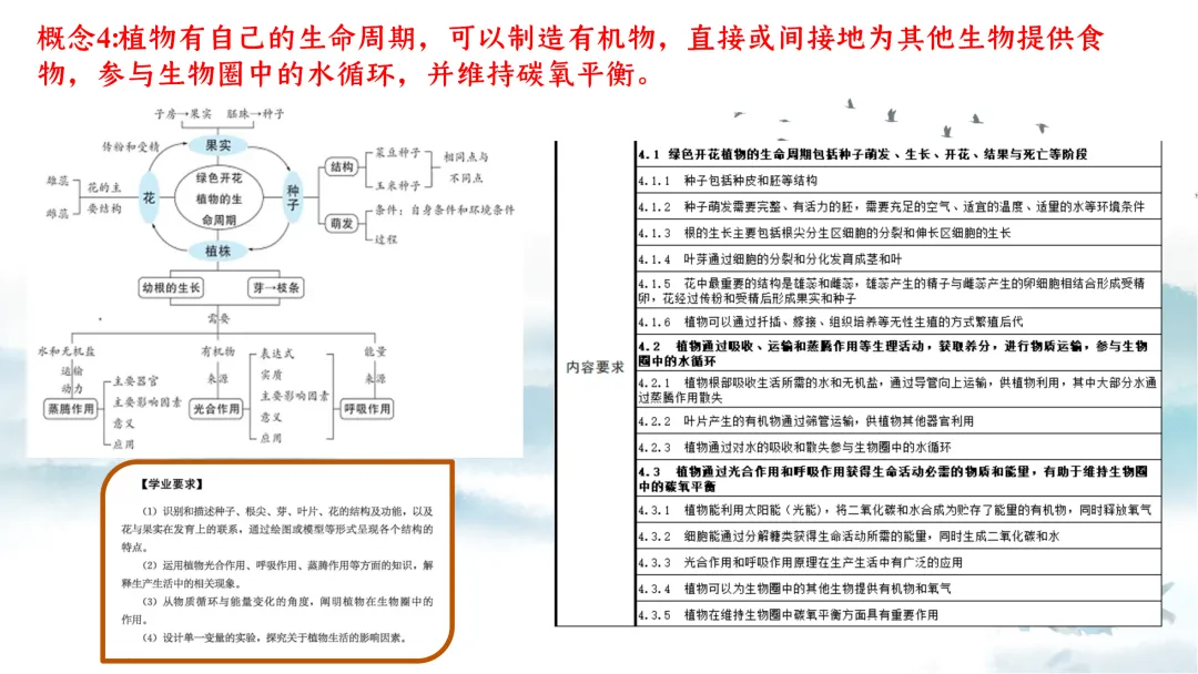 SK226 初中生物 中考讲座资源《析标研题固根基,聚焦热点强素养 ----2026年初中生物复习备考分析》讲座课件PPT+ 文字稿Word 第49张