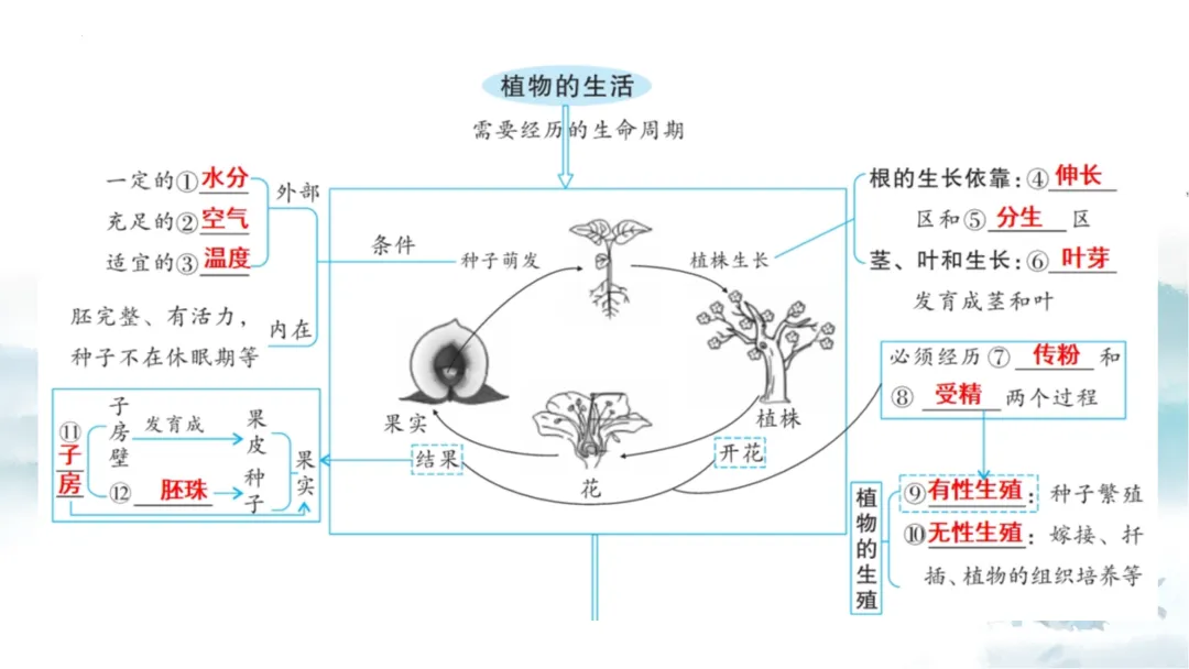 SK226 初中生物 中考讲座资源《析标研题固根基,聚焦热点强素养 ----2026年初中生物复习备考分析》讲座课件PPT+ 文字稿Word 第50张