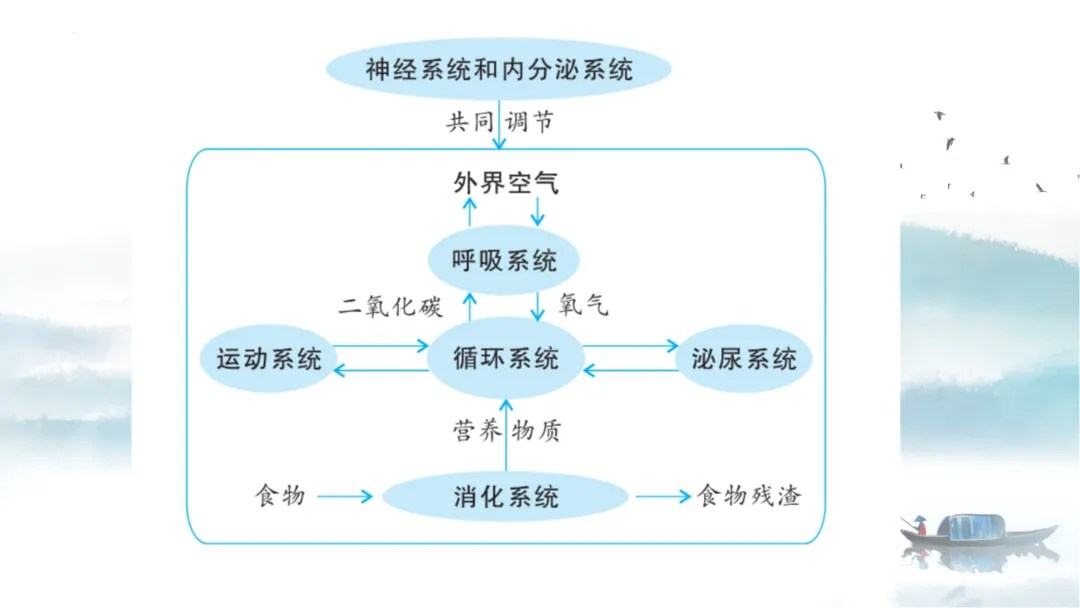 SK226 初中生物 中考讲座资源《析标研题固根基,聚焦热点强素养 ----2026年初中生物复习备考分析》讲座课件PPT+ 文字稿Word 第56张