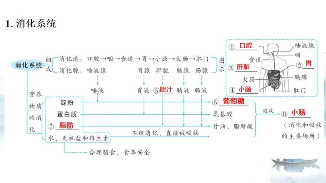 SK226 初中生物 中考讲座资源《析标研题固根基,聚焦热点强素养 ----2026年初中生物复习备考分析》讲座课件PPT+ 文字稿Word 第57张