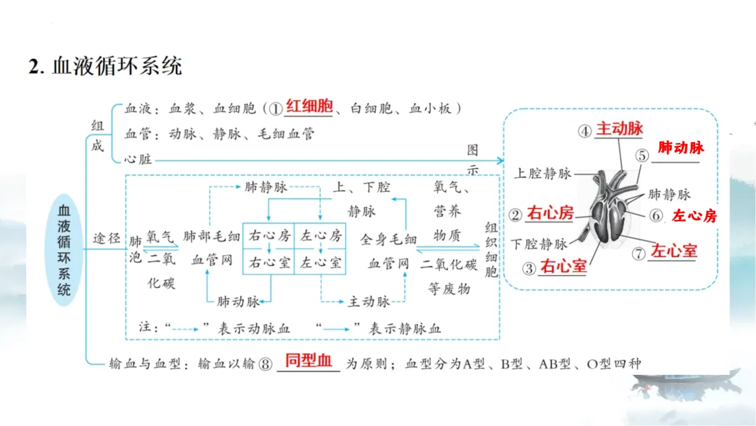 SK226 初中生物 中考讲座资源《析标研题固根基,聚焦热点强素养 ----2026年初中生物复习备考分析》讲座课件PPT+ 文字稿Word 第58张