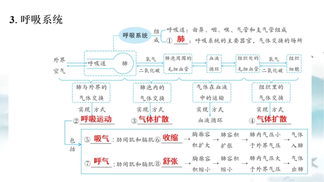 SK226 初中生物 中考讲座资源《析标研题固根基,聚焦热点强素养 ----2026年初中生物复习备考分析》讲座课件PPT+ 文字稿Word 第59张
