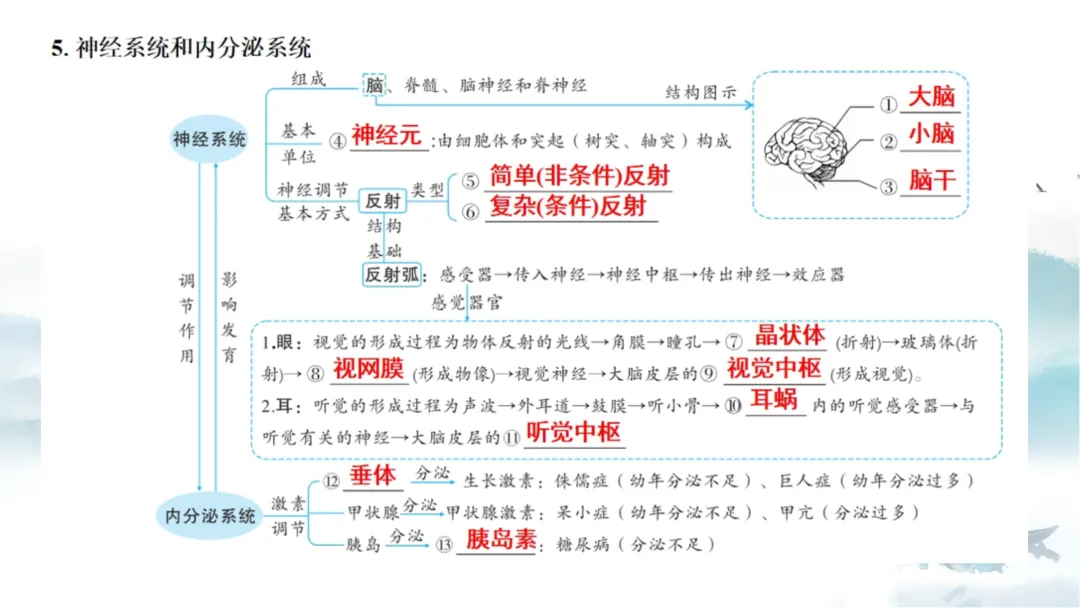 SK226 初中生物 中考讲座资源《析标研题固根基,聚焦热点强素养 ----2026年初中生物复习备考分析》讲座课件PPT+ 文字稿Word 第61张