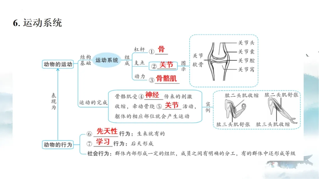 SK226 初中生物 中考讲座资源《析标研题固根基,聚焦热点强素养 ----2026年初中生物复习备考分析》讲座课件PPT+ 文字稿Word 第62张