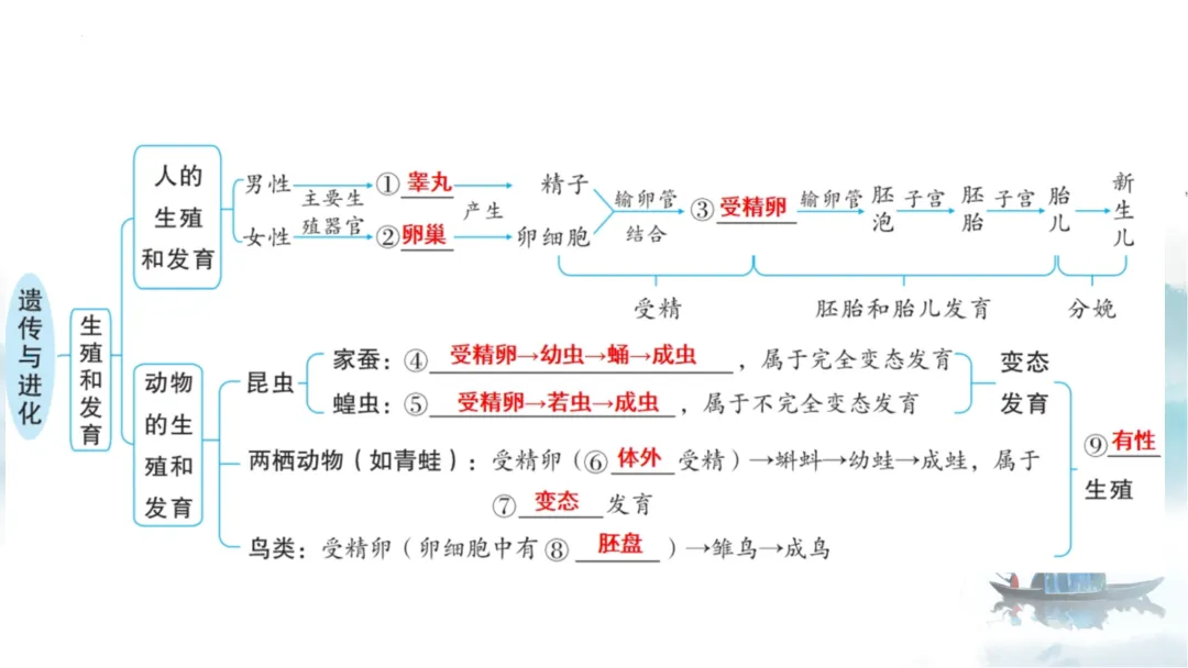 SK226 初中生物 中考讲座资源《析标研题固根基,聚焦热点强素养 ----2026年初中生物复习备考分析》讲座课件PPT+ 文字稿Word 第65张