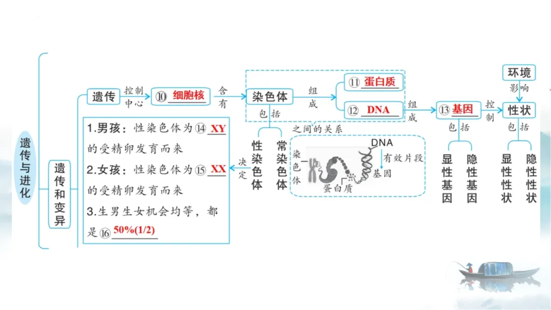 SK226 初中生物 中考讲座资源《析标研题固根基,聚焦热点强素养 ----2026年初中生物复习备考分析》讲座课件PPT+ 文字稿Word 第66张