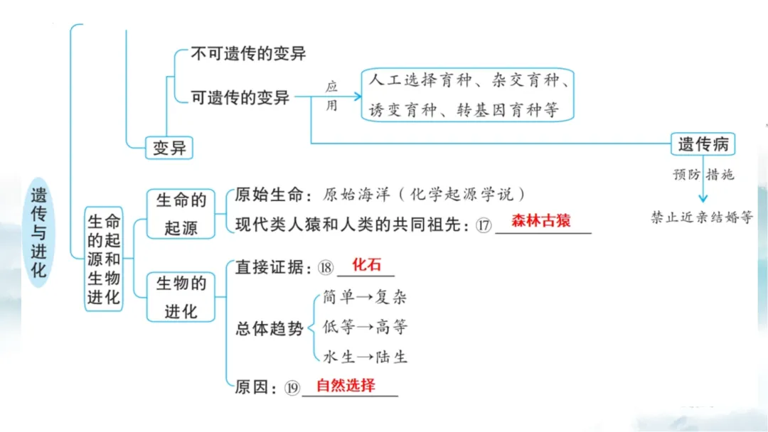 SK226 初中生物 中考讲座资源《析标研题固根基,聚焦热点强素养 ----2026年初中生物复习备考分析》讲座课件PPT+ 文字稿Word 第67张