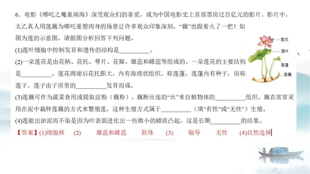 SK226 初中生物 中考讲座资源《析标研题固根基,聚焦热点强素养 ----2026年初中生物复习备考分析》讲座课件PPT+ 文字稿Word 第71张
