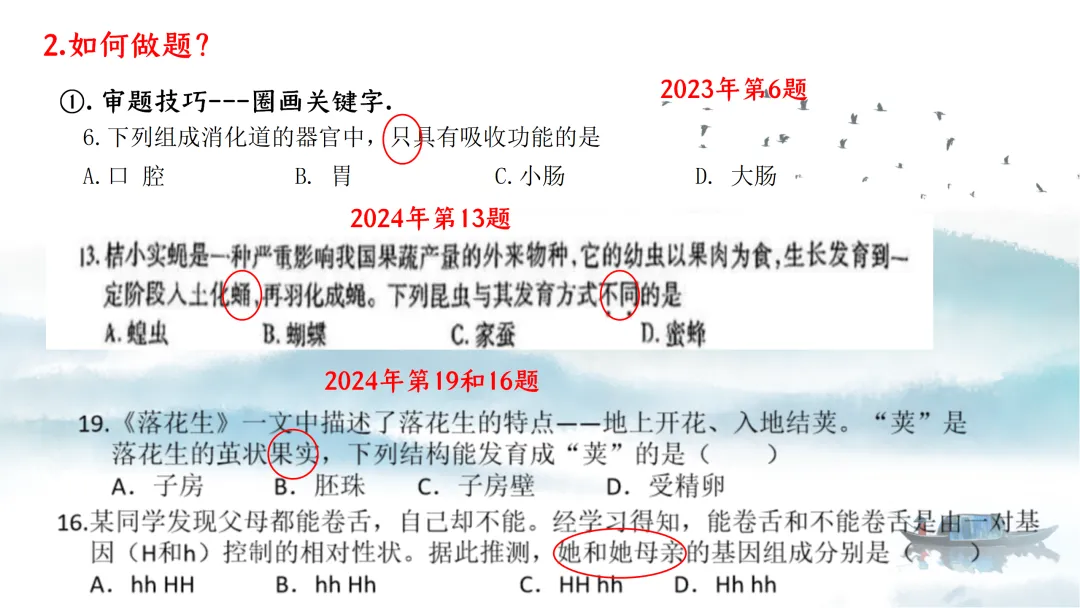 SK226 初中生物 中考讲座资源《析标研题固根基,聚焦热点强素养 ----2026年初中生物复习备考分析》讲座课件PPT+ 文字稿Word 第87张