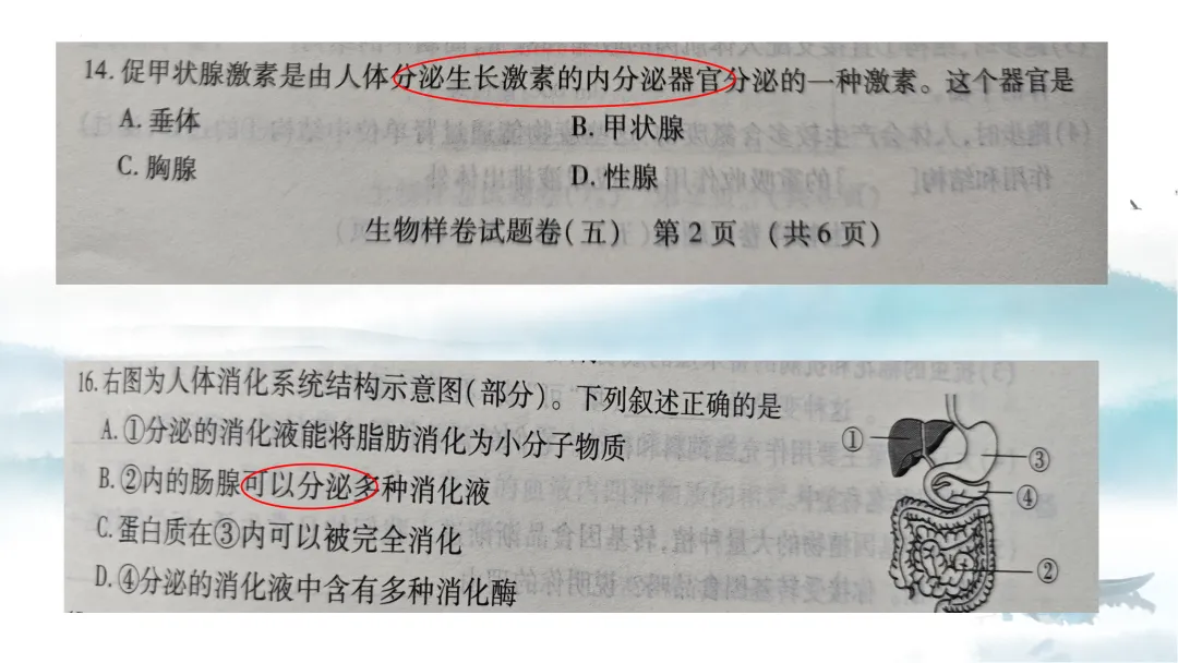 SK226 初中生物 中考讲座资源《析标研题固根基,聚焦热点强素养 ----2026年初中生物复习备考分析》讲座课件PPT+ 文字稿Word 第90张