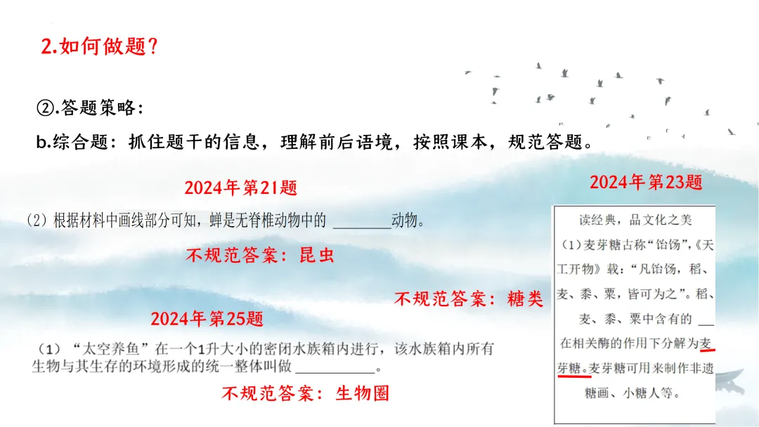 SK226 初中生物 中考讲座资源《析标研题固根基,聚焦热点强素养 ----2026年初中生物复习备考分析》讲座课件PPT+ 文字稿Word 第91张