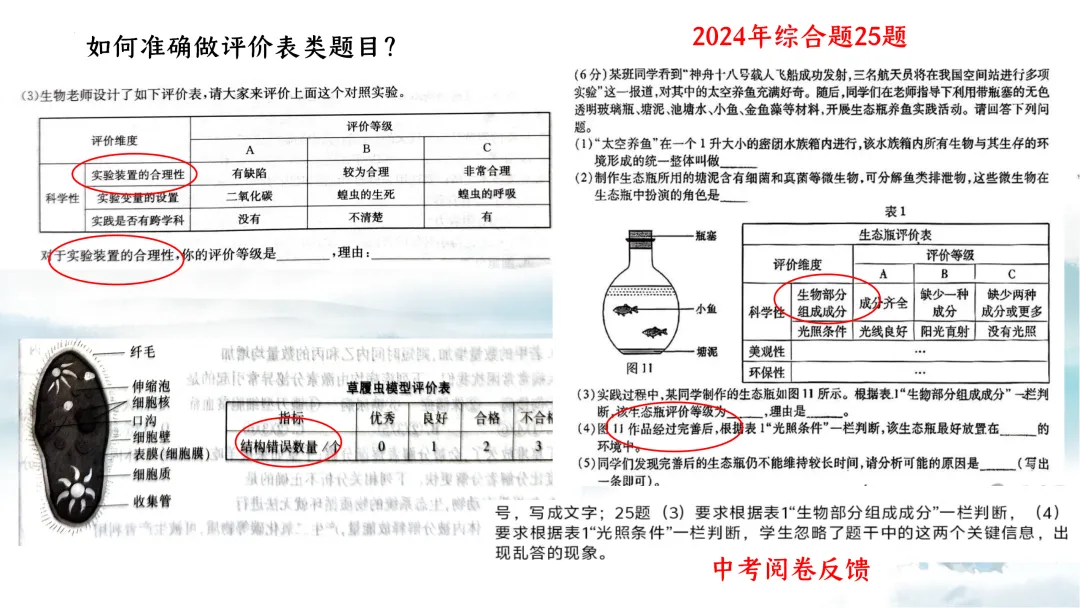 SK226 初中生物 中考讲座资源《析标研题固根基,聚焦热点强素养 ----2026年初中生物复习备考分析》讲座课件PPT+ 文字稿Word 第92张