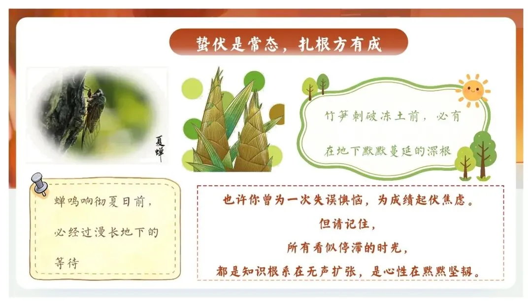 【初三】中考百日誓师主题班会PPT+逐字稿:以春之名,共赴百日之约 第9张