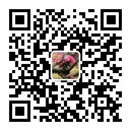 高考、中考作文押题范文|云朵老师送给备考的你 第9张