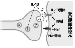 2026年东三省高三第一次联合模拟考试生物学试卷 第4张