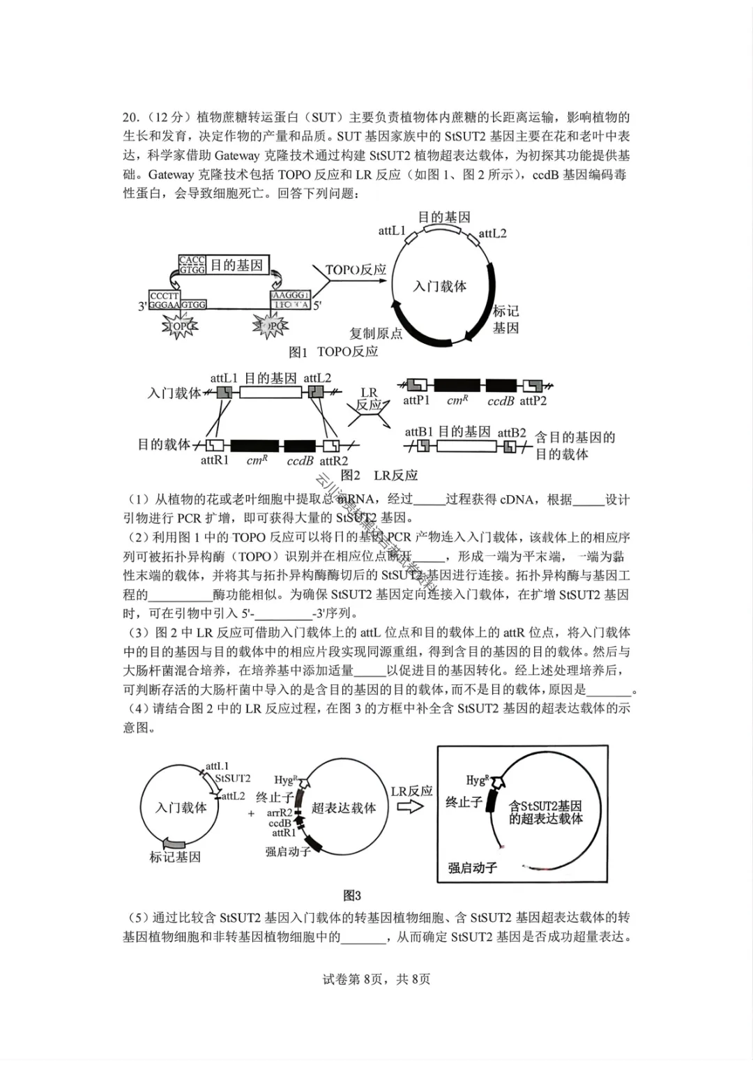 【成都七中二诊模拟化学/生物】成都七中高2026届高三二诊模拟考试试卷答案 第19张