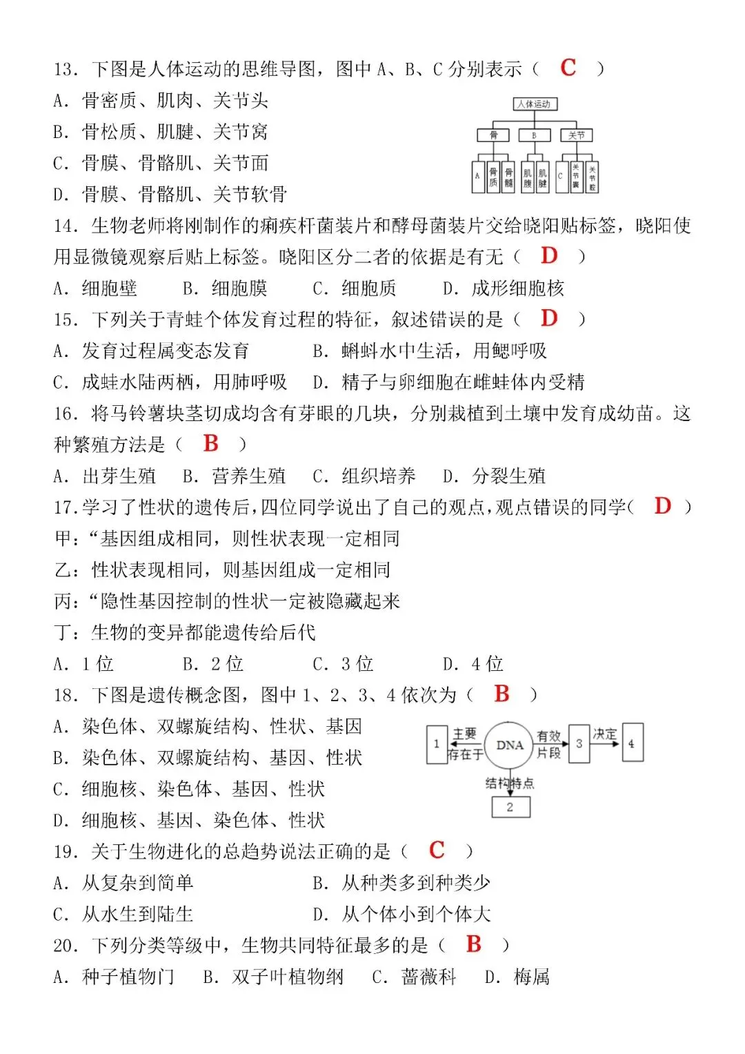 2026初中生物会考第一次模拟真题试卷(可打印),建议收藏打印练习! 第6张